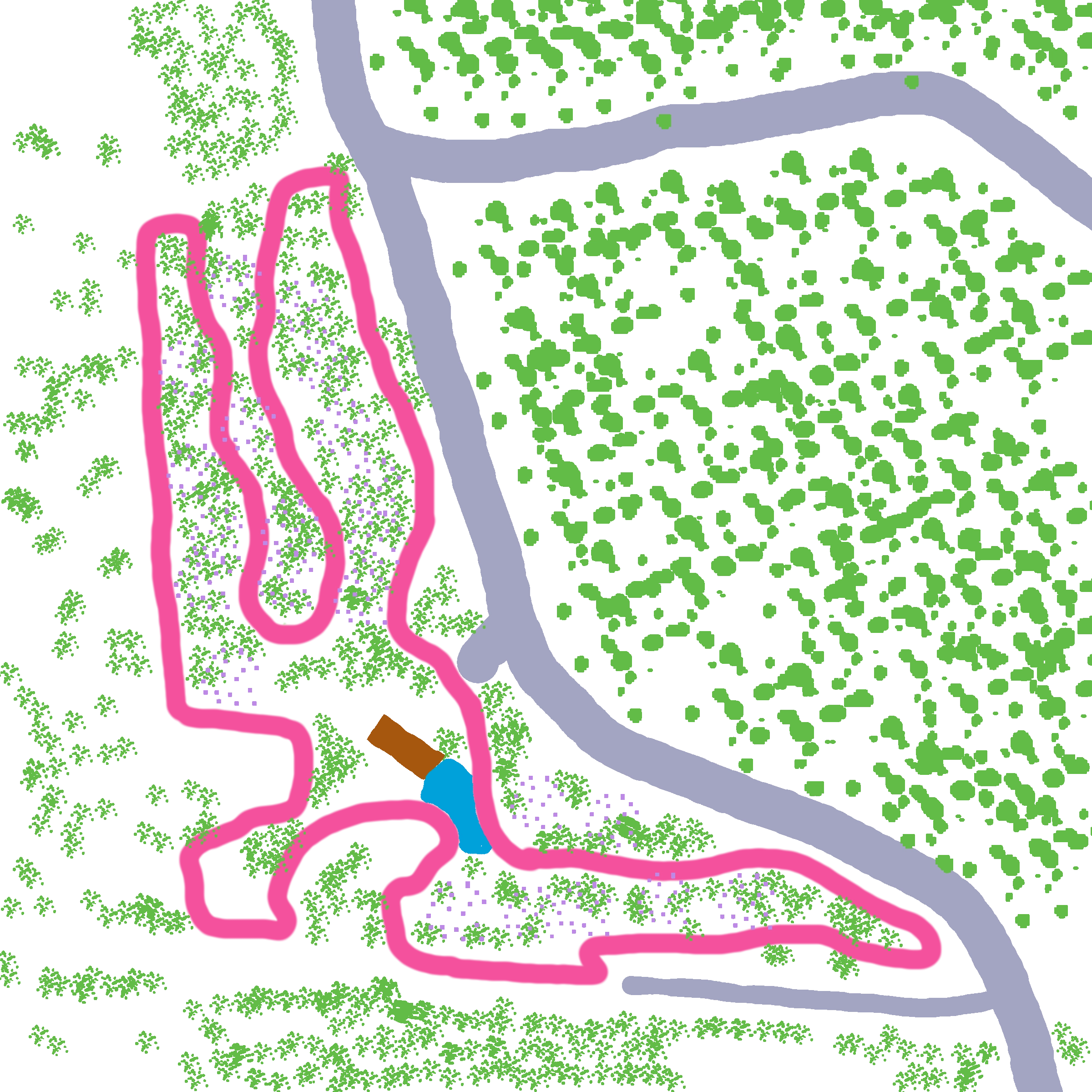cat lap course map illustration