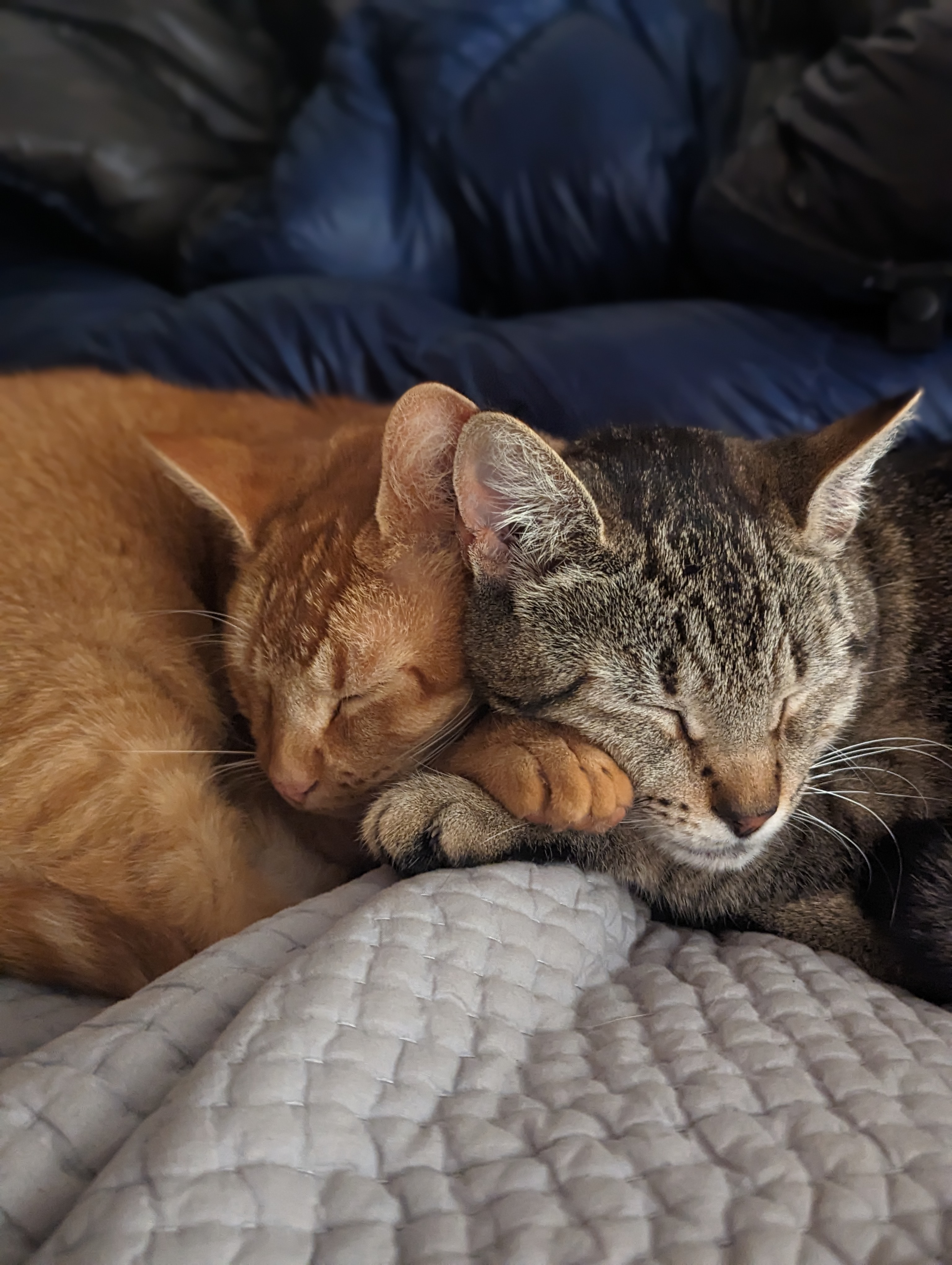 Clackamas and Klickitat together