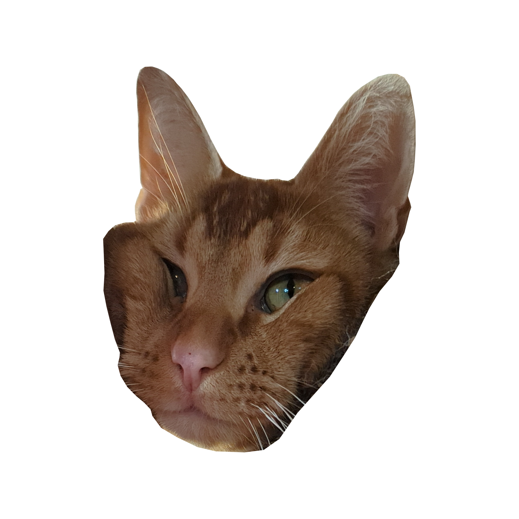 Klicksquish variant 2