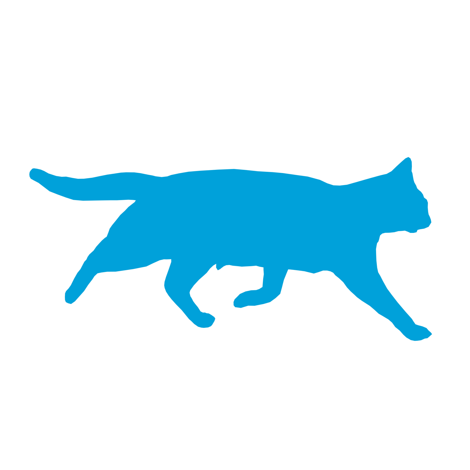 Klickitat the cat with blue tint